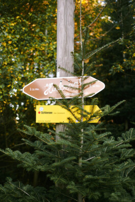 Munich Documentary Wedding Photographer - Book Now