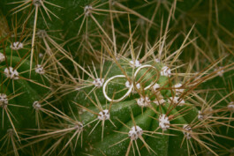 Munich Documentary Wedding Photographer - Book Now