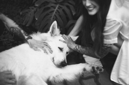 Munich Documentary Wedding Photographer - Book Now